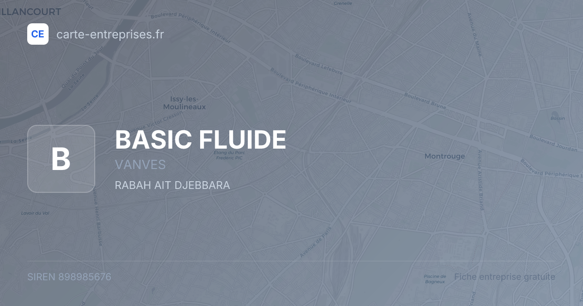 BASIC FLUIDE — 898985676 — fiche entreprise