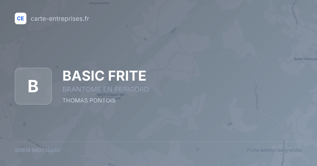 BASIC FRITE — 989776950 — fiche entreprise