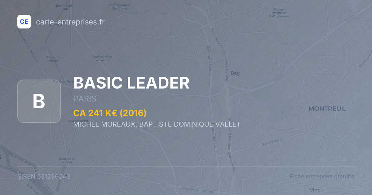 BASIC LEADER — 531286243 — fiche entreprise