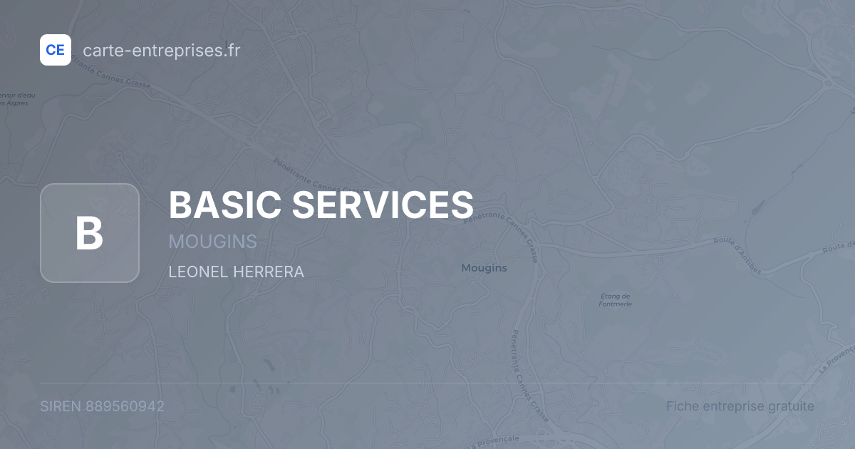 BASIC SERVICES — 889560942 — fiche entreprise