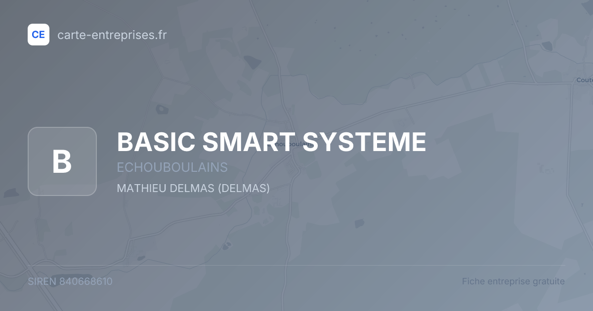 BASIC SMART SYSTEME — 840668610 — fiche entreprise