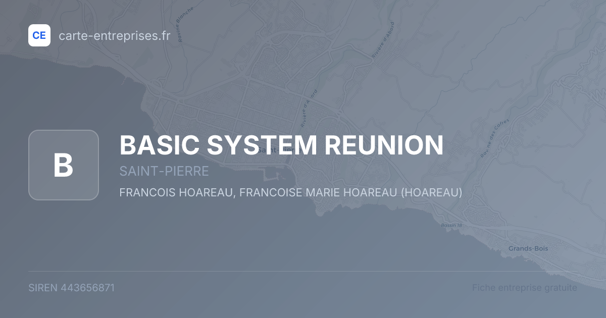 BASIC SYSTEM REUNION — 443656871 — fiche entreprise