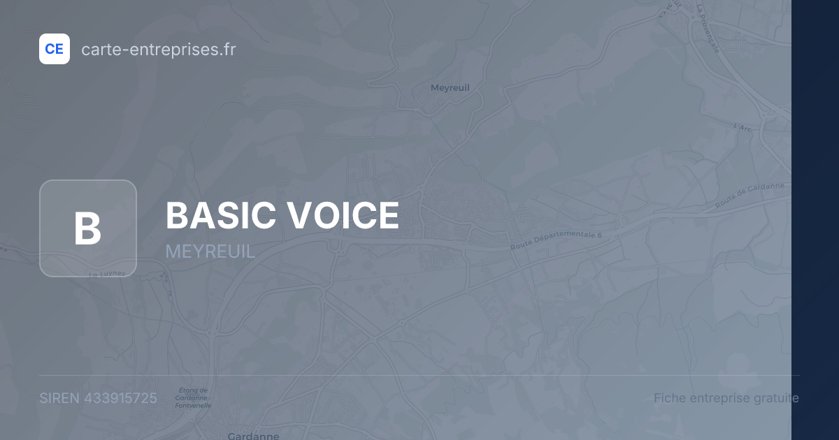 BASIC VOICE — 433915725 — fiche entreprise