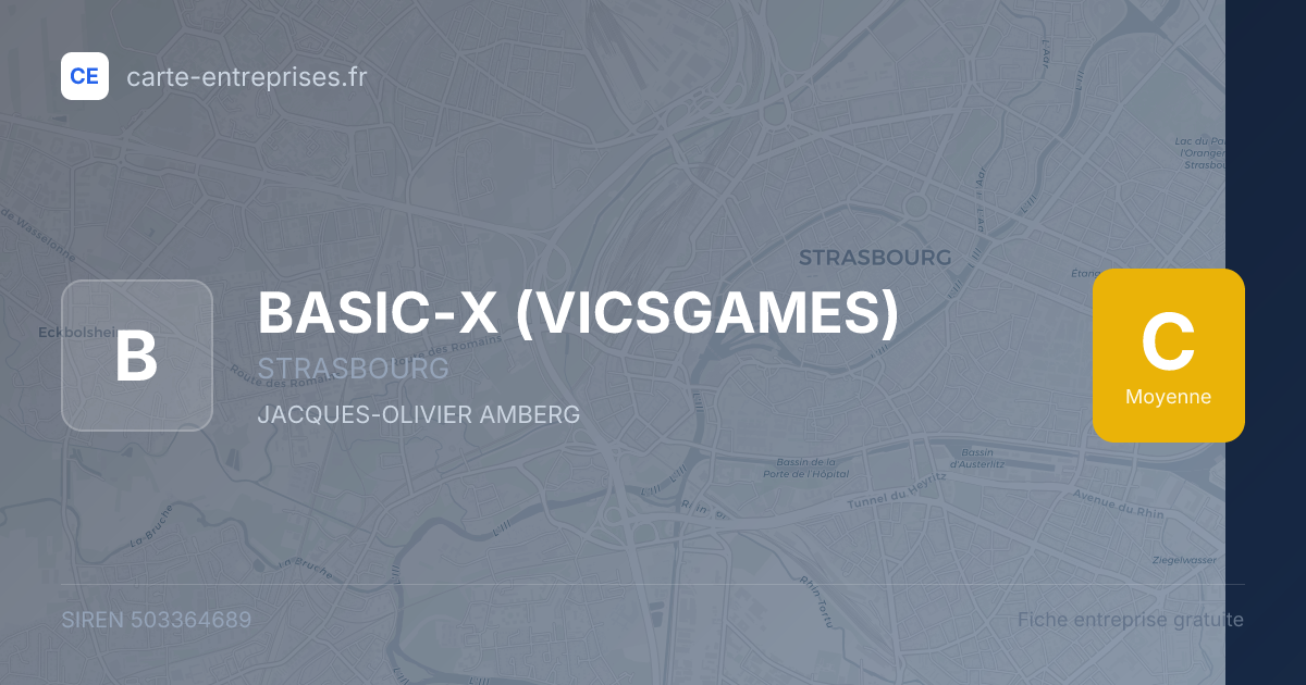 BASIC-X (VICSGAMES) — 503364689 — fiche entreprise