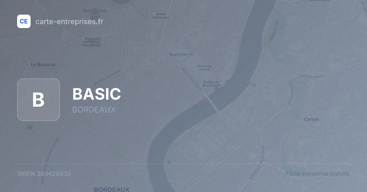 BASIC — 393426432 — fiche entreprise