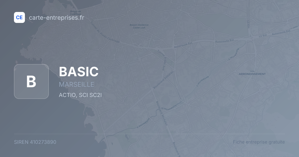 BASIC — 410273890 — fiche entreprise