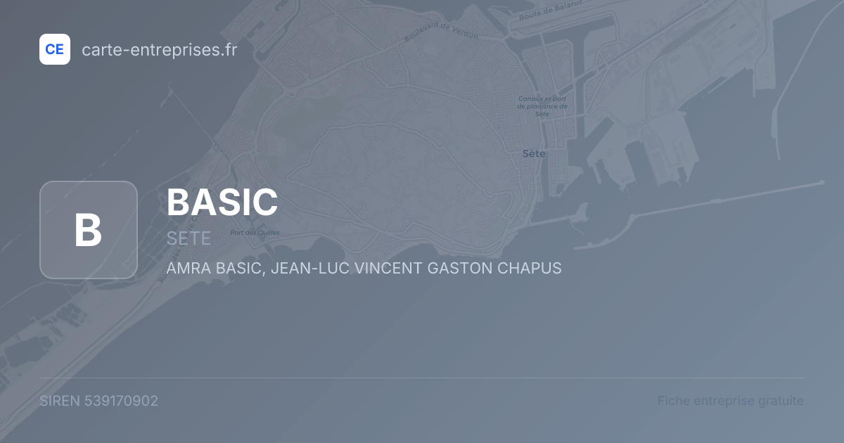 BASIC — 539170902 — fiche entreprise