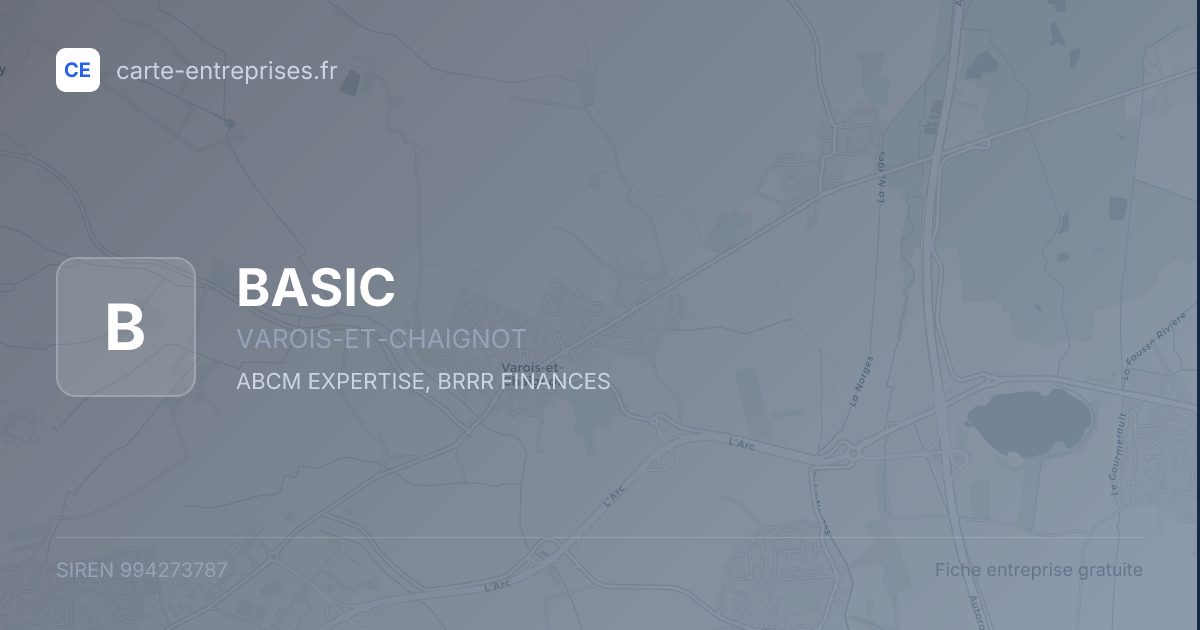 BASIC — 994273787 — fiche entreprise