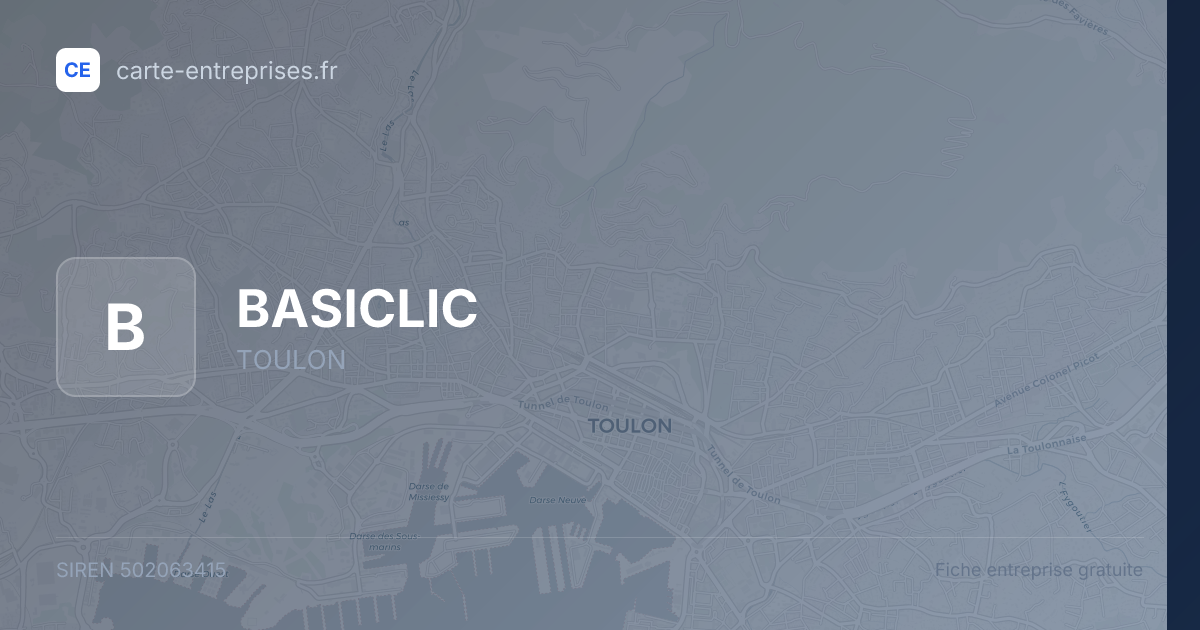 BASICLIC — 502063415 — fiche entreprise