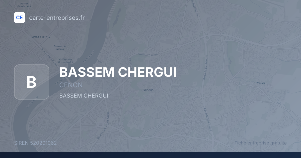 BASSEM CHERGUI — 520201062 — fiche entreprise