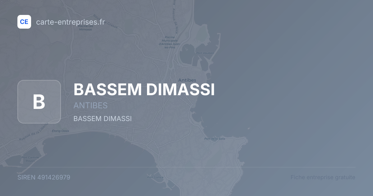 BASSEM DIMASSI — 491426979 — fiche entreprise
