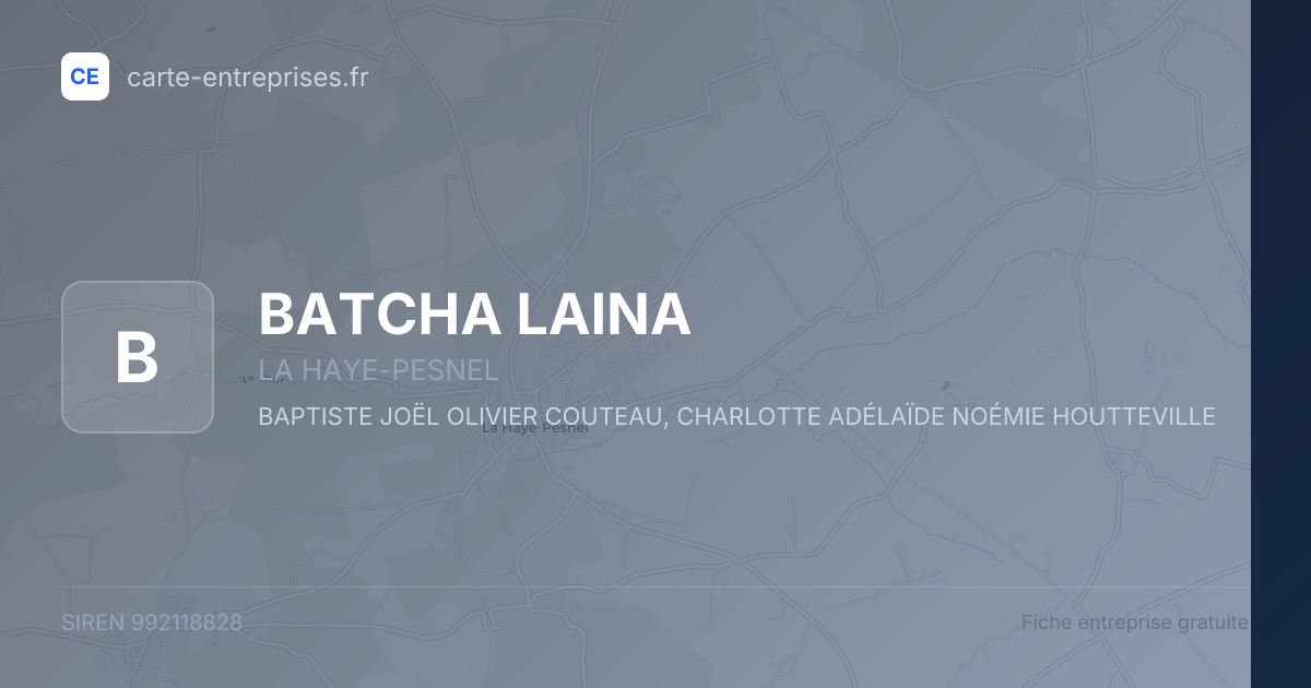BATCHA LAINA — 992118828 — fiche entreprise