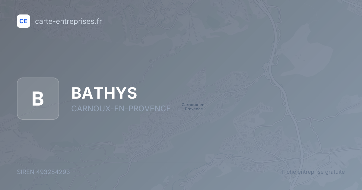BATHYS — 493284293 — fiche entreprise