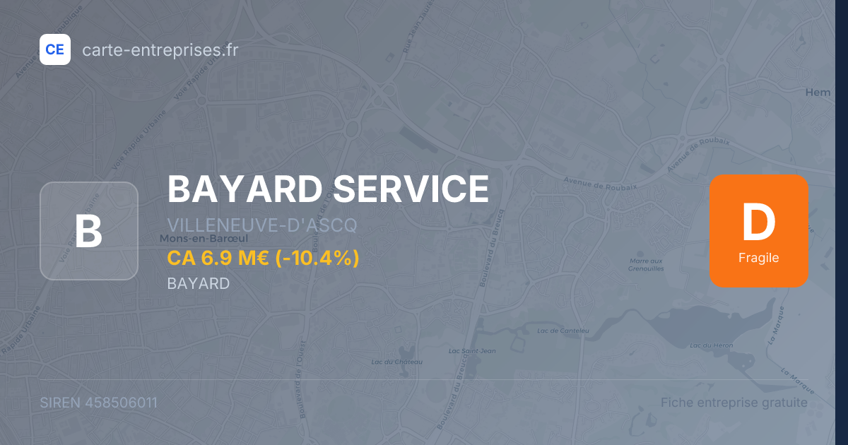 BAYARD SERVICE — 458506011 — fiche entreprise