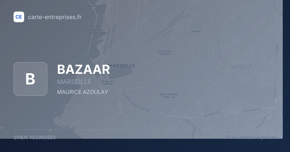 BAZAAR — 482965589 — fiche entreprise