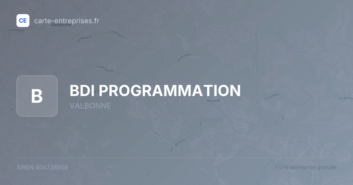 BDI PROGRAMMATION — 404738908 — fiche entreprise