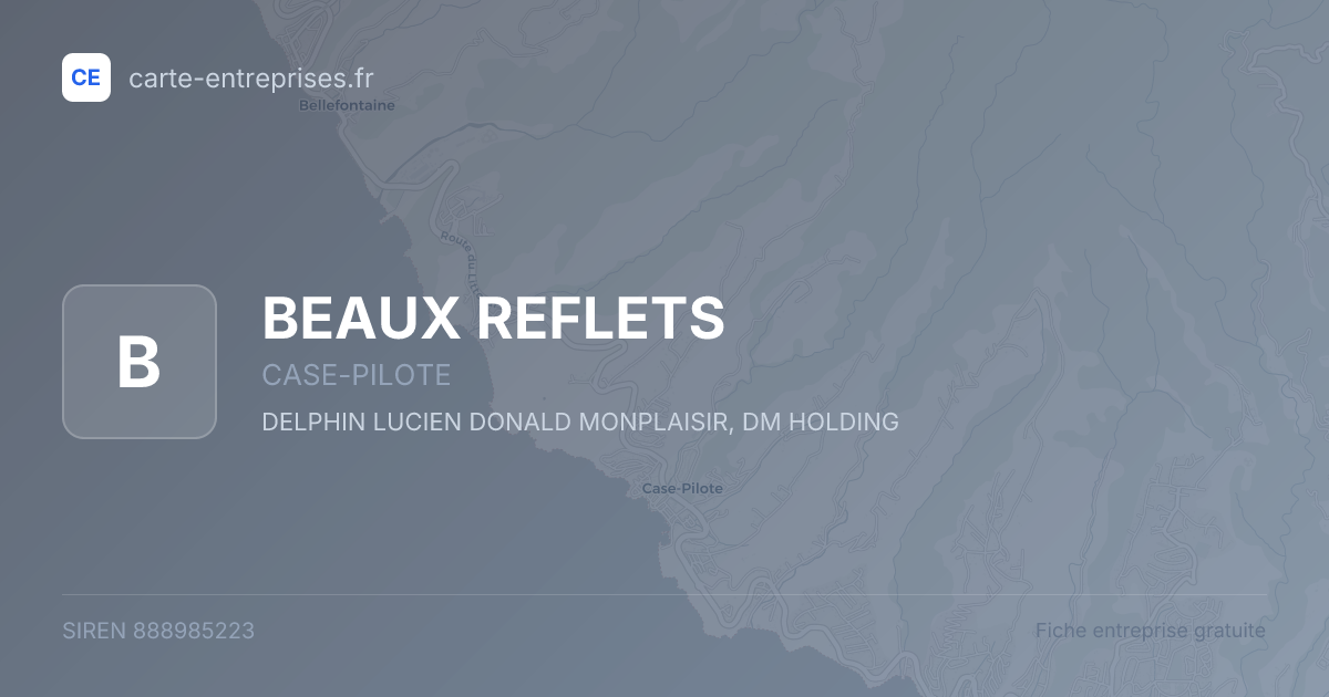 BEAUX REFLETS — 888985223 — fiche entreprise