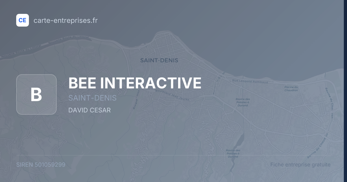 BEE INTERACTIVE — 501059299 — fiche entreprise
