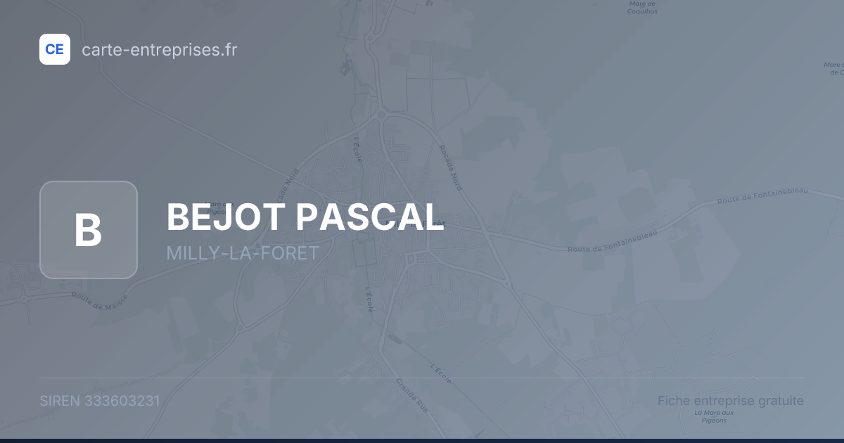 BEJOT PASCAL — 333603231 — fiche entreprise