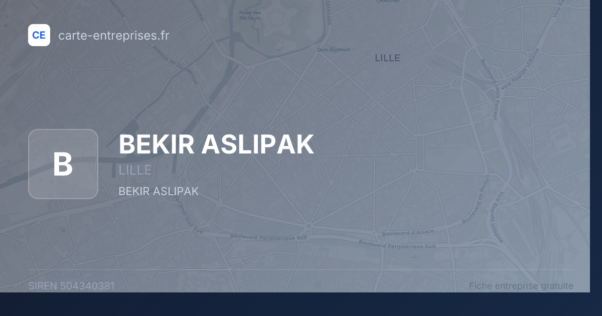 BEKIR ASLIPAK — 504340381 — fiche entreprise
