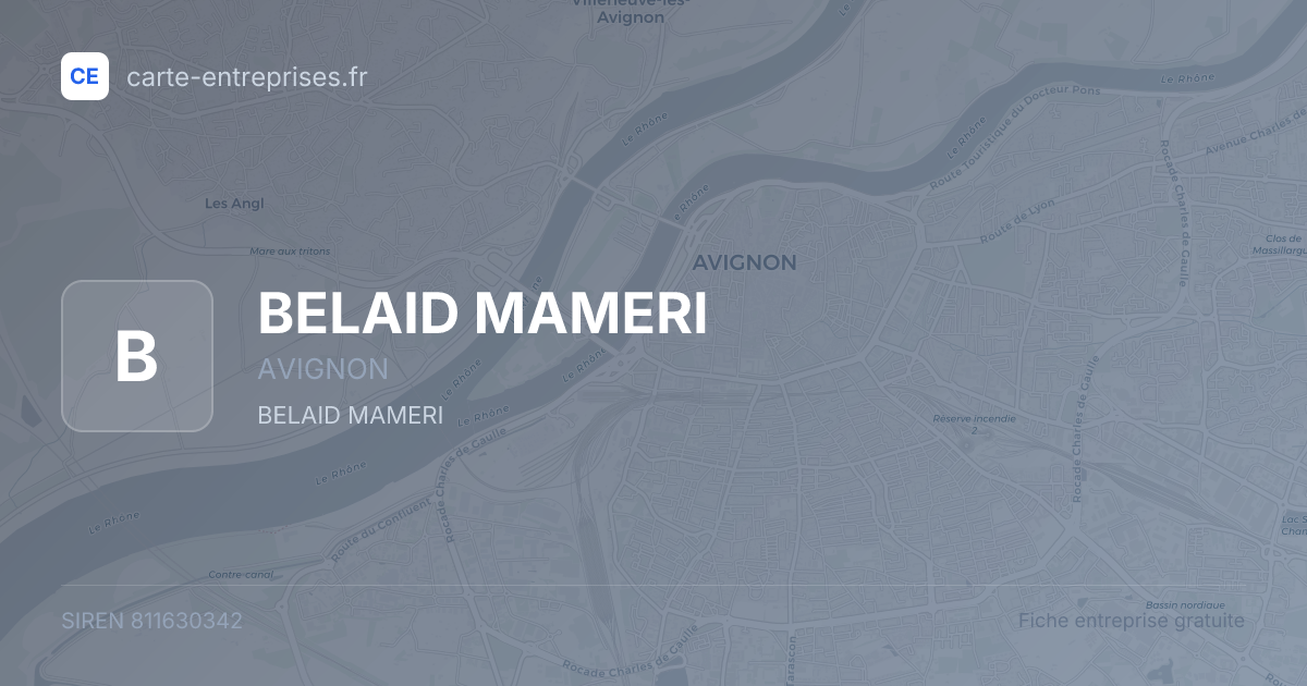 BELAID MAMERI — 811630342 — fiche entreprise