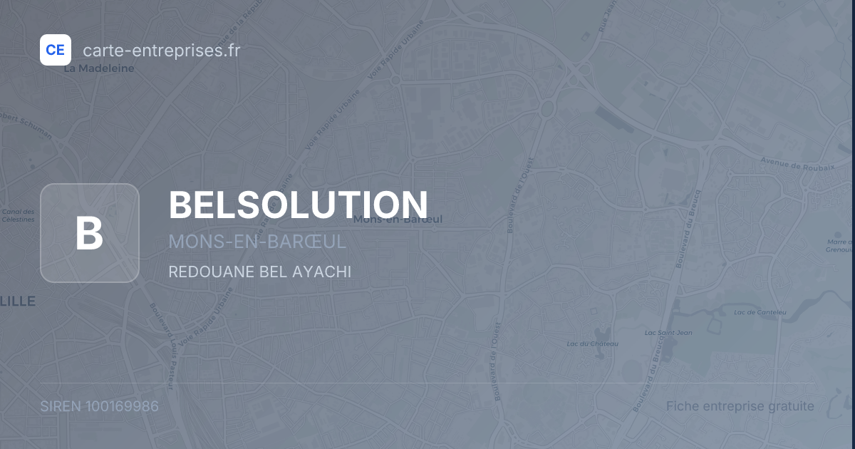 BELSOLUTION — 100169986 — fiche entreprise