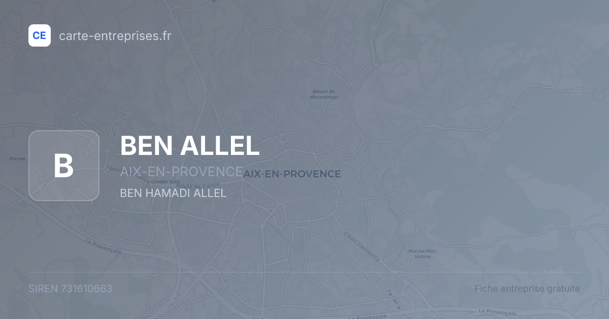 BEN ALLEL — 731610663 — fiche entreprise