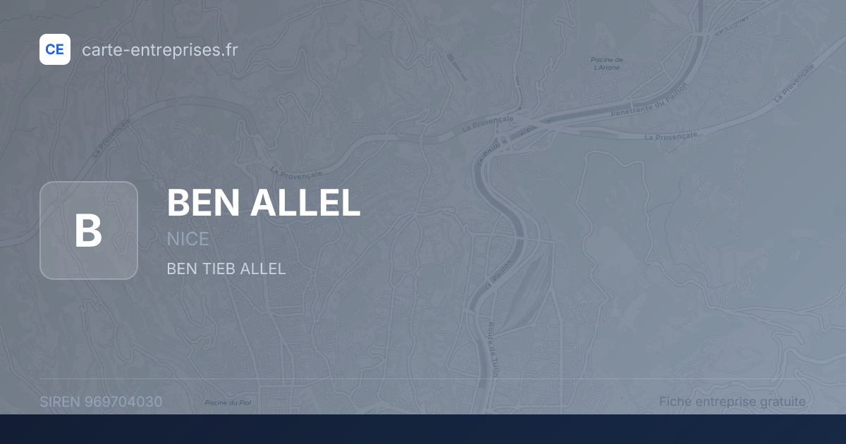 BEN ALLEL — 969704030 — fiche entreprise