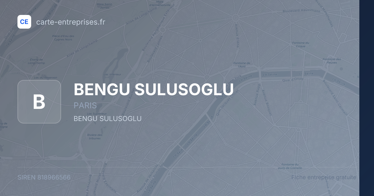 BENGU SULUSOGLU — 818966566 — fiche entreprise