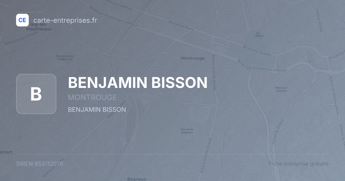 BENJAMIN BISSON — 853112076 — fiche entreprise