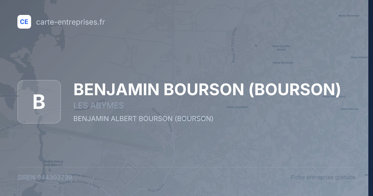 BENJAMIN BOURSON (BOURSON) — 944303239 — fiche entreprise