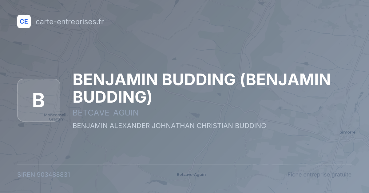 BENJAMIN BUDDING — 903488831 — fiche entreprise