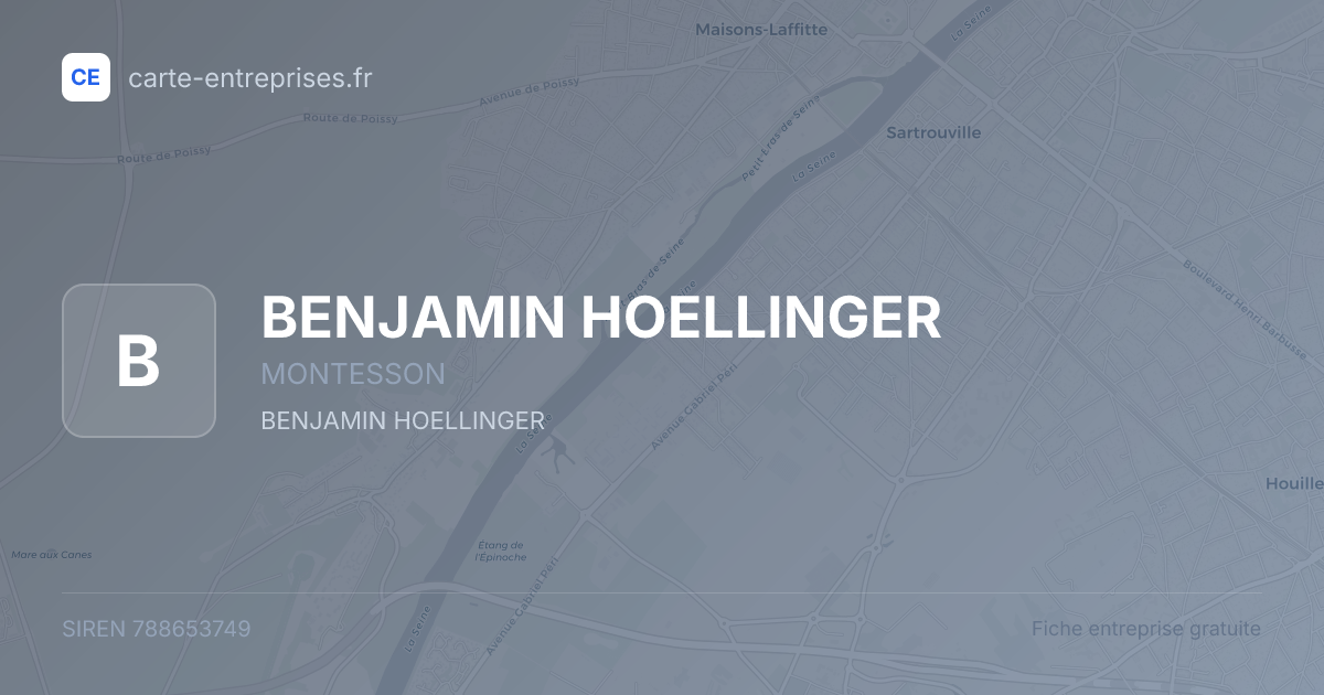 BENJAMIN HOELLINGER — 788653749 — fiche entreprise