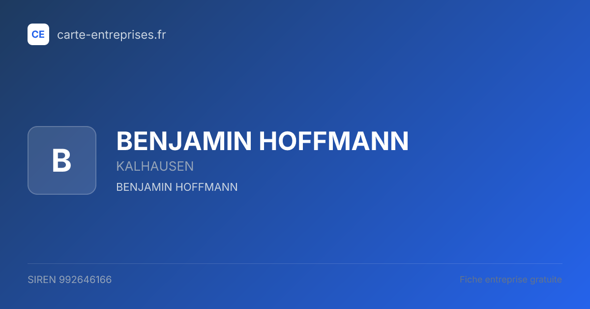 BENJAMIN HOFFMANN — 992646166 — fiche entreprise