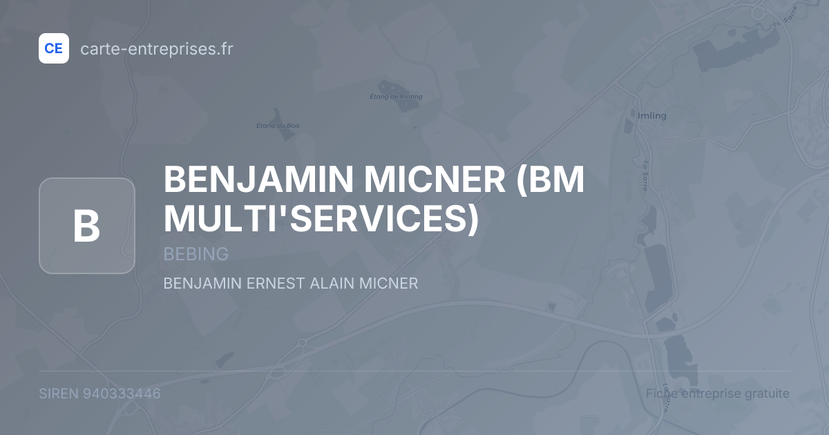 BENJAMIN MICNER (BM MULTI'SERVICES) — 940333446 — fiche entreprise