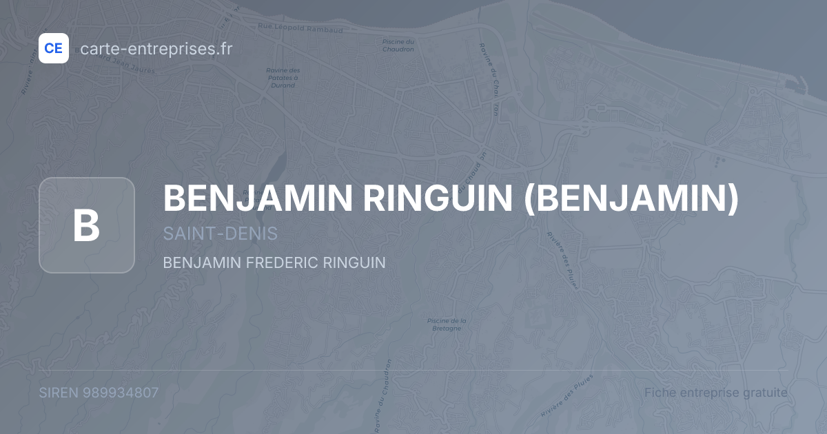 BENJAMIN RINGUIN (BENJAMIN) — 989934807 — fiche entreprise