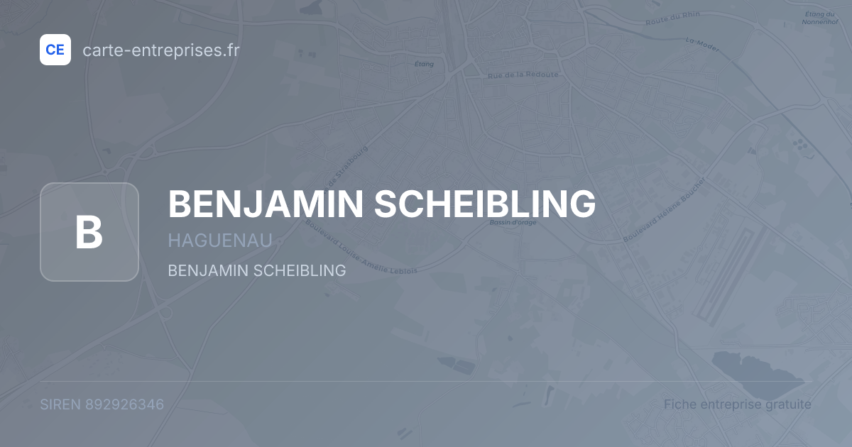 BENJAMIN SCHEIBLING — 892926346 — fiche entreprise