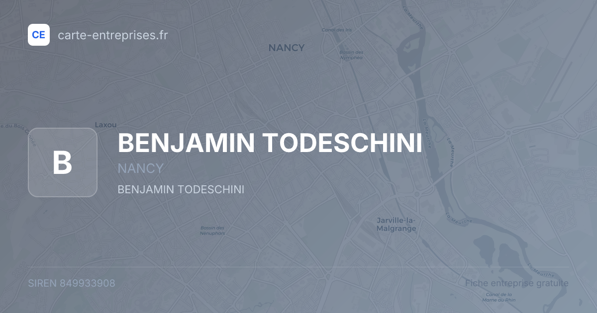 BENJAMIN TODESCHINI — 849933908 — fiche entreprise