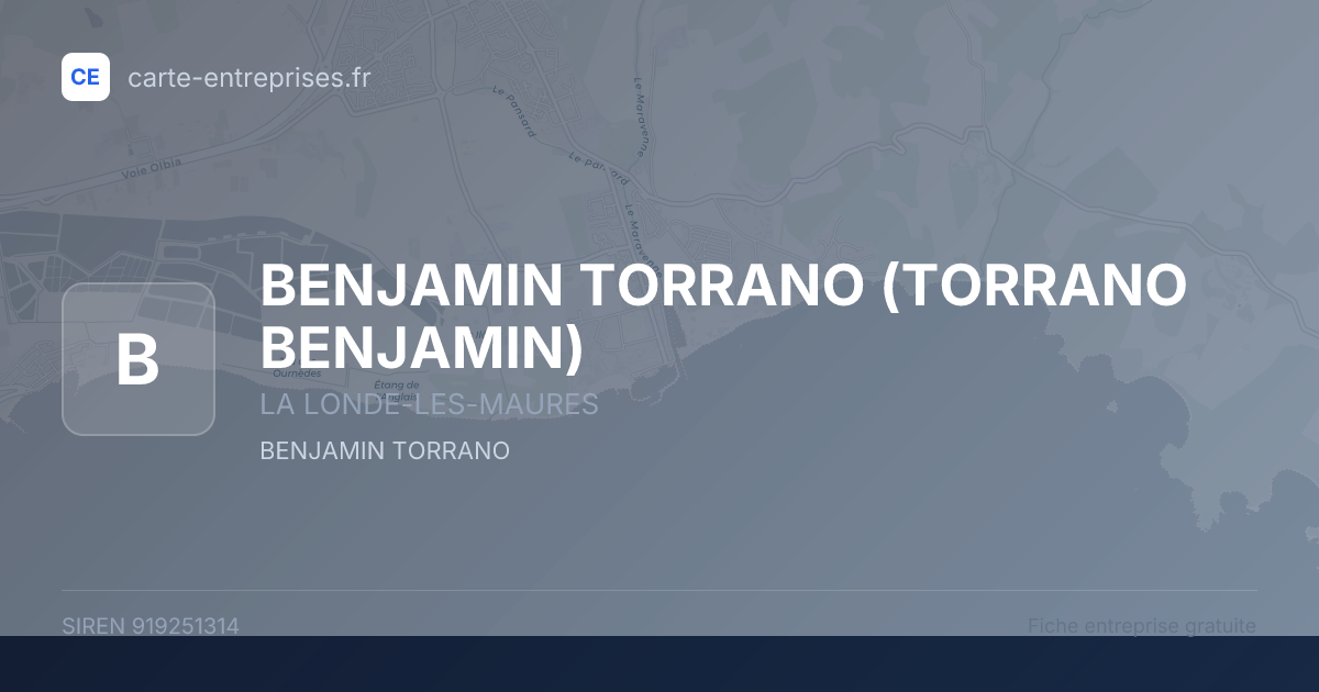 BENJAMIN TORRANO (TORRANO BENJAMIN) — 919251314 — fiche entreprise