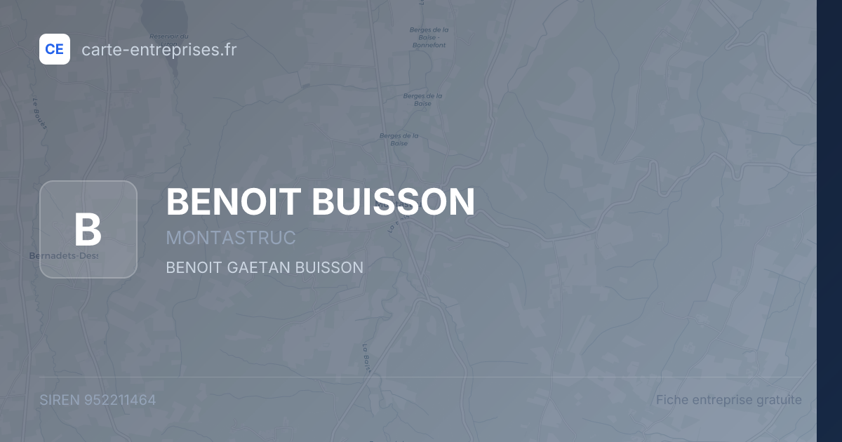 BENOIT BUISSON — 952211464 — fiche entreprise