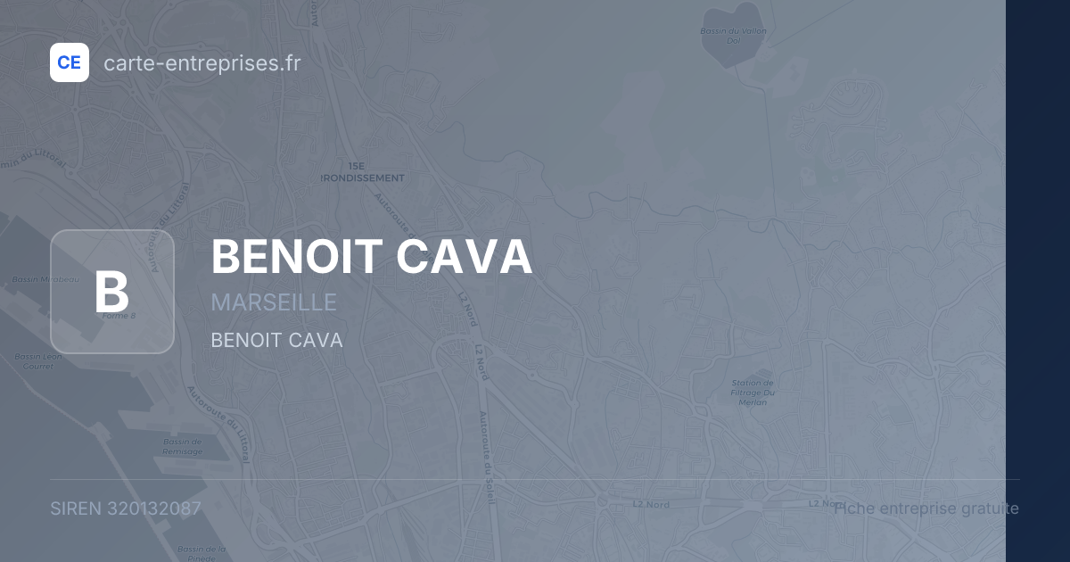BENOIT CAVA — 320132087 — fiche entreprise