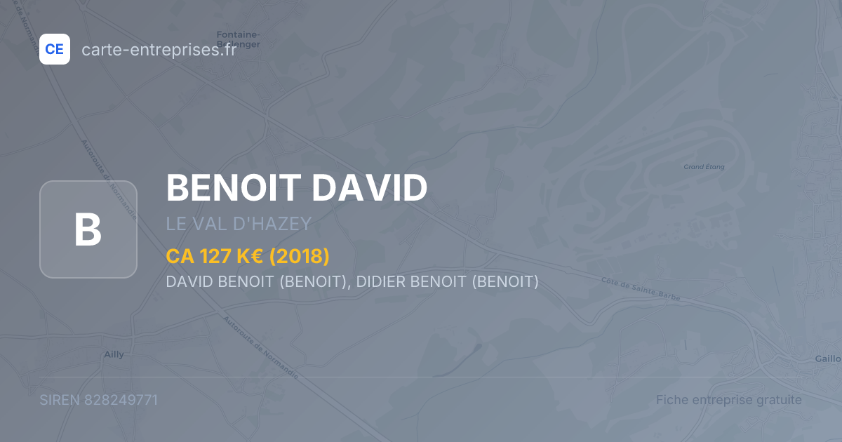 BENOIT DAVID — 828249771 — fiche entreprise