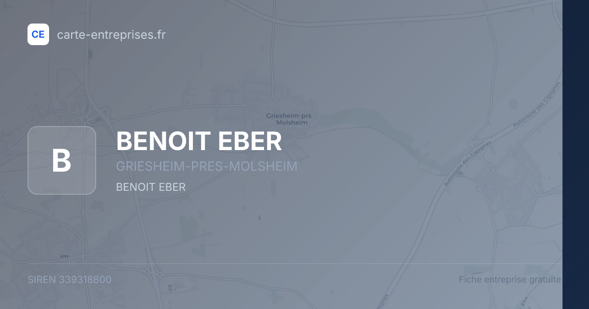BENOIT EBER — 339318800 — fiche entreprise