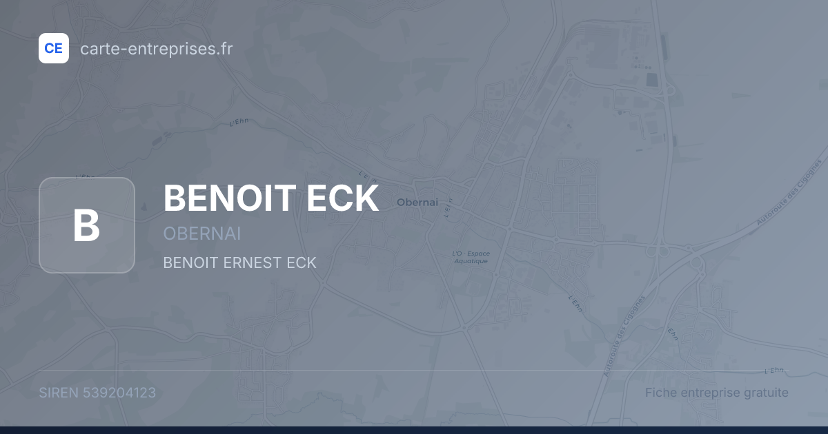 BENOIT ECK — 539204123 — fiche entreprise