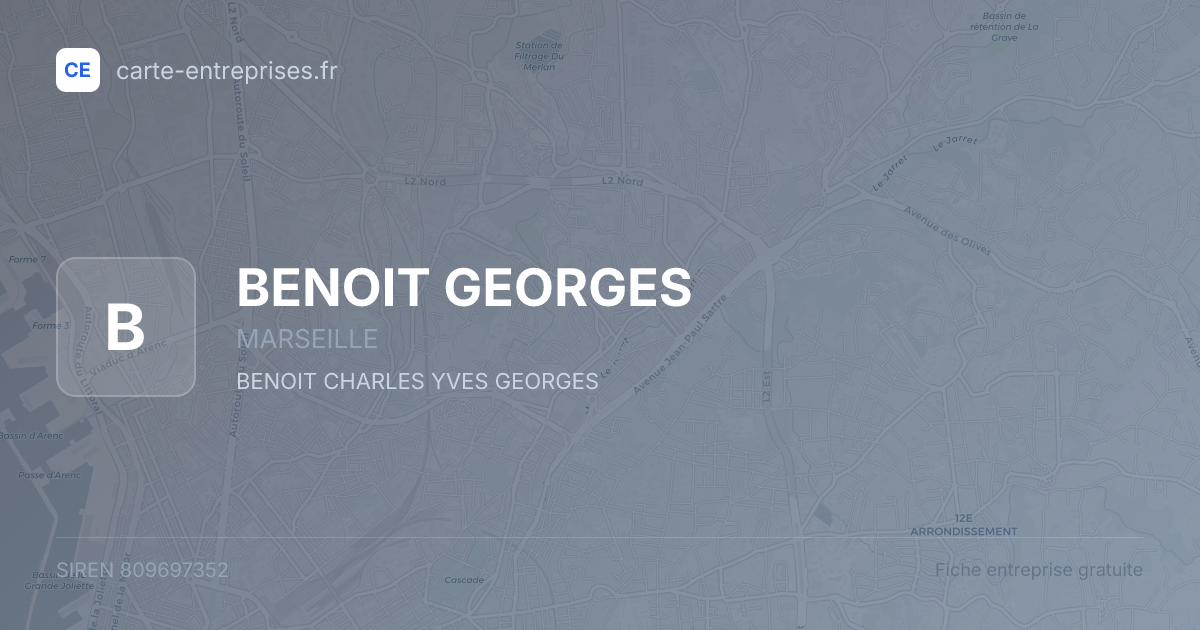 BENOIT GEORGES — 809697352 — fiche entreprise