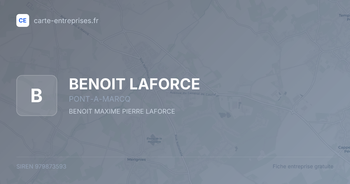 BENOIT LAFORCE — 979873593 — fiche entreprise