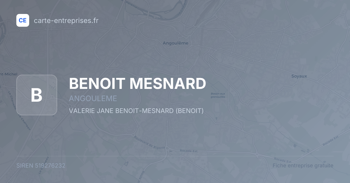 BENOIT MESNARD — 519276232 — fiche entreprise