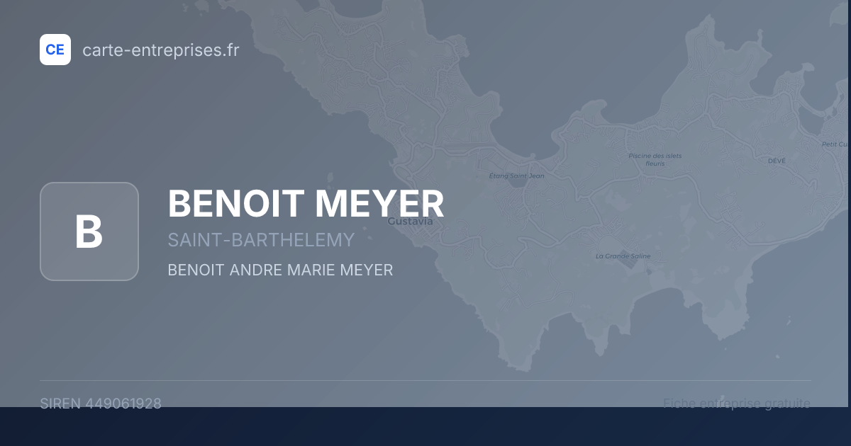 BENOIT MEYER — 449061928 — fiche entreprise