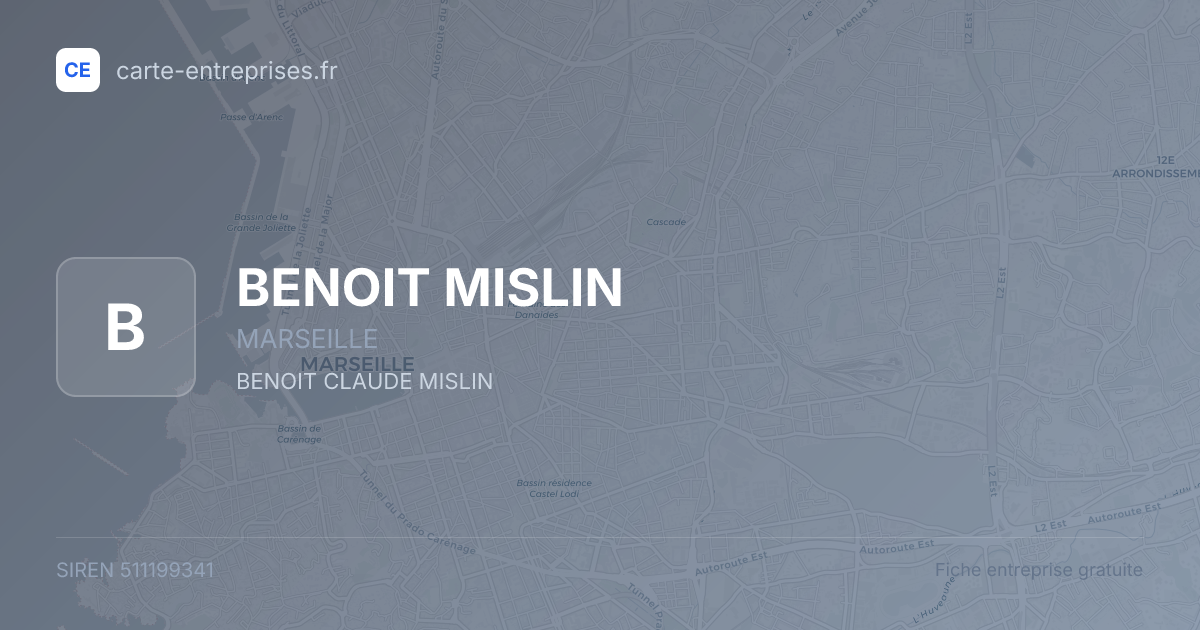 BENOIT MISLIN — 511199341 — fiche entreprise