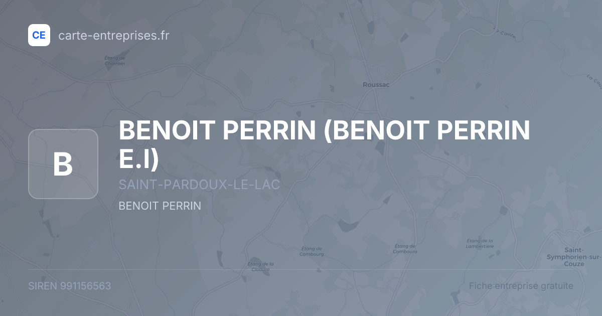 BENOIT PERRIN (BENOIT PERRIN E.I) — 991156563 — fiche entreprise
